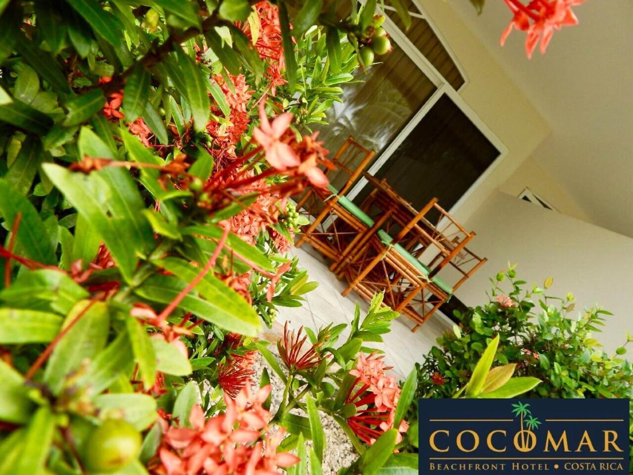 Cocomar Beachfront Hotel Parrita Exterior foto